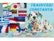 Agentia nationala ahr traduceri constanta harsova negru voda medgid contabilitate traduceri 935517 poza 5